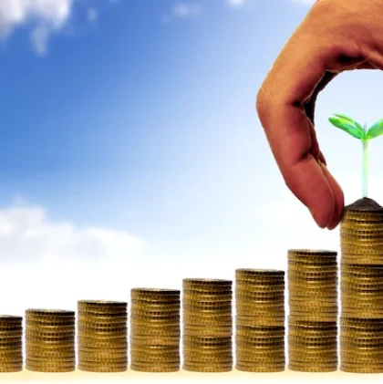 slps's take on nep & school budget